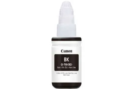 Original Cartouche d'encre noire originale Canon Pixma G 4410